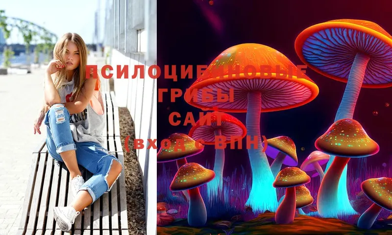 наркота  Касимов  Псилоцибиновые грибы Magic Shrooms 